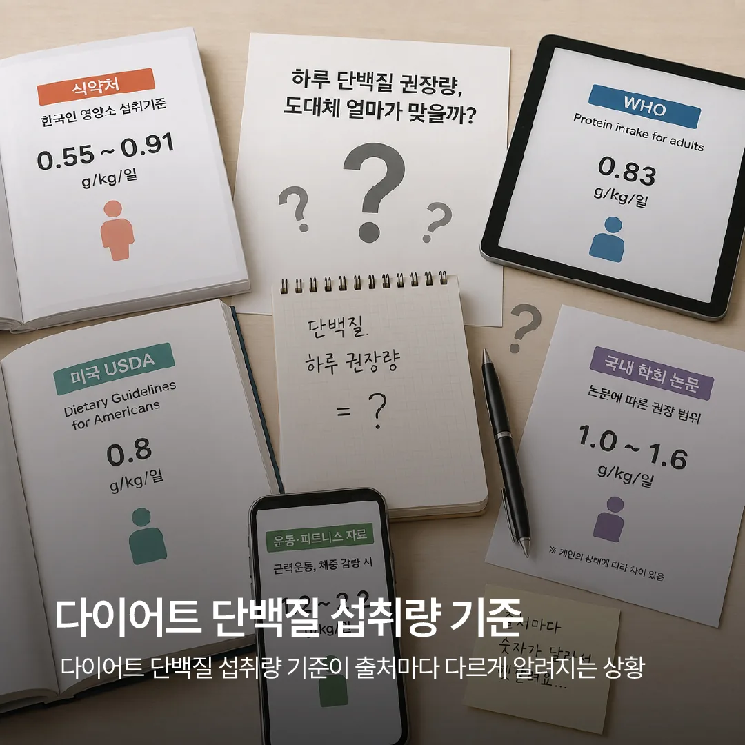 다이어트 단백질 섭취량 기준이 출처마다 다르게 알려지는 상황