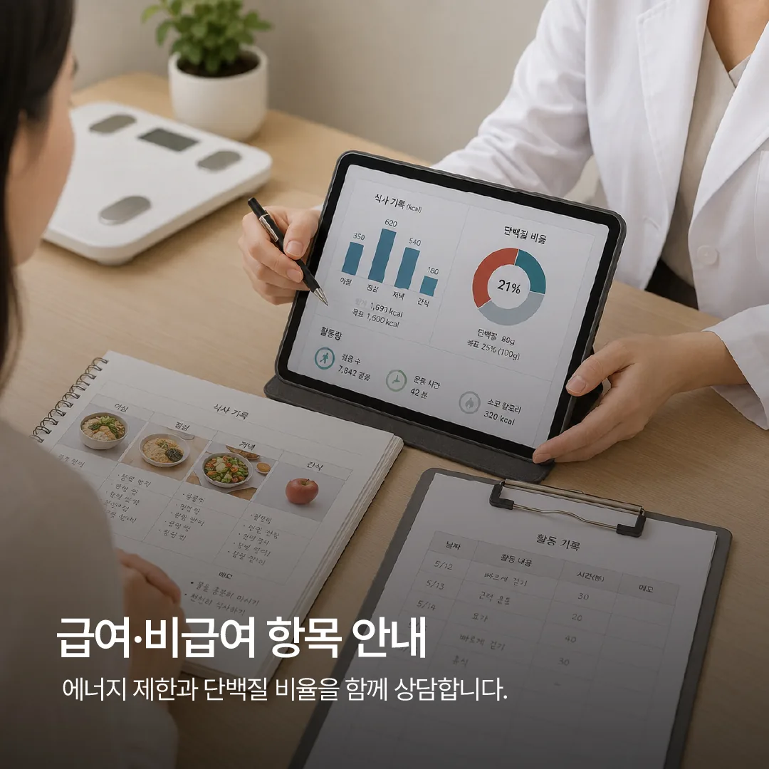 에너지 제한과 단백질 비율을 함께 확인하는 다이어트 상담