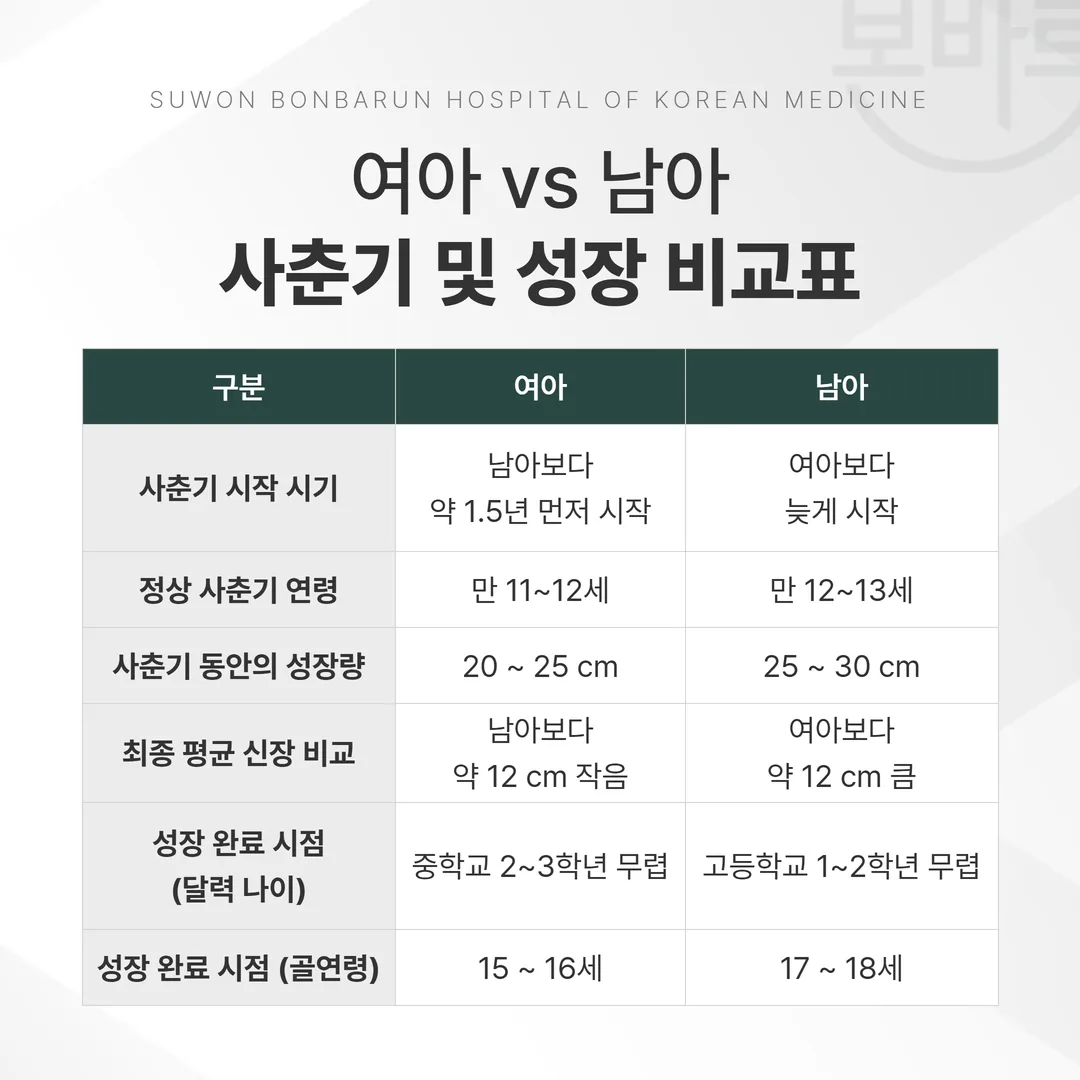여아가 남아보다 사춘기를 약 1.5년 먼저 시작하는 차이를 나타낸 성장 비교 도표