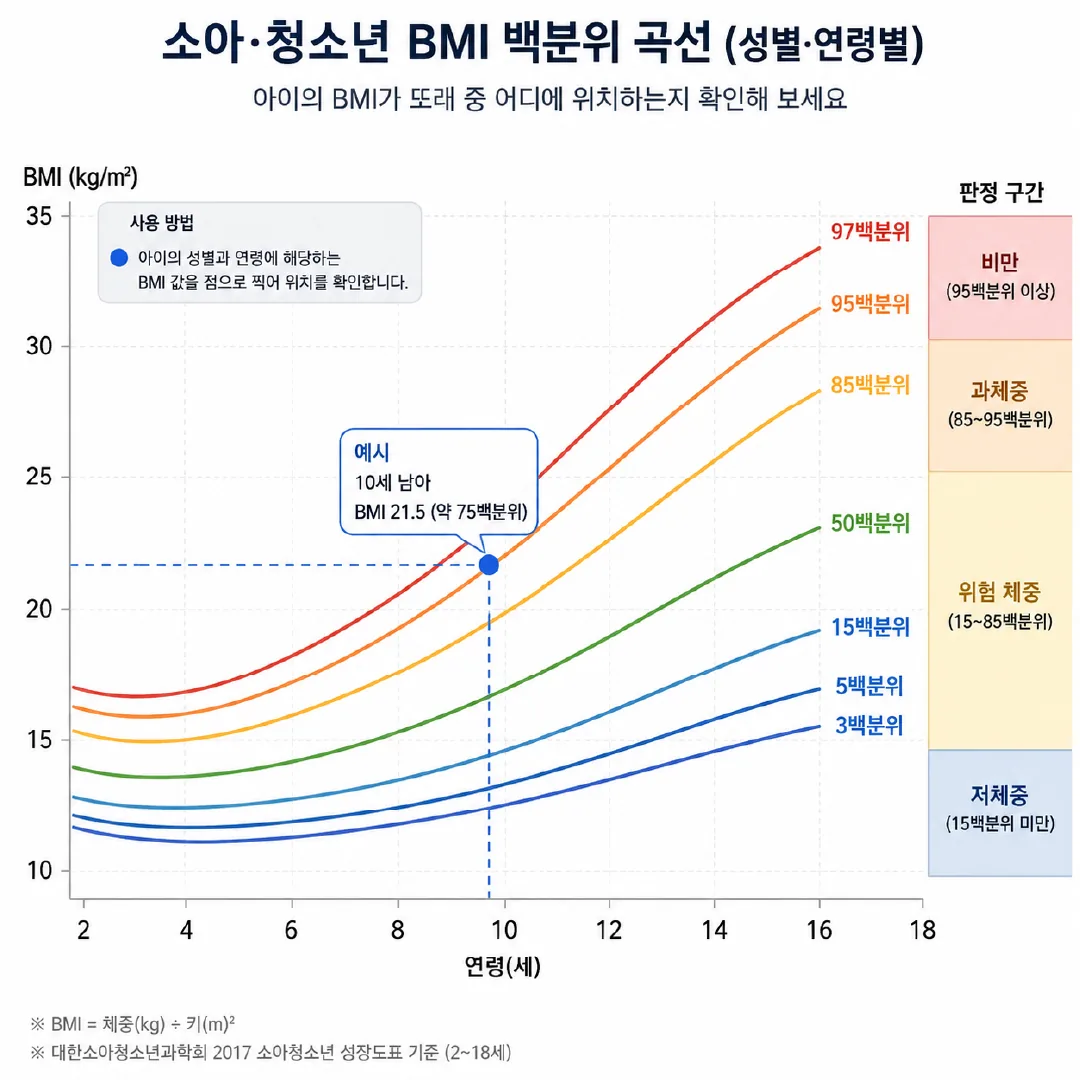소아 BMI 백분위수 판정 구간을 나타낸 성장도표 개념도