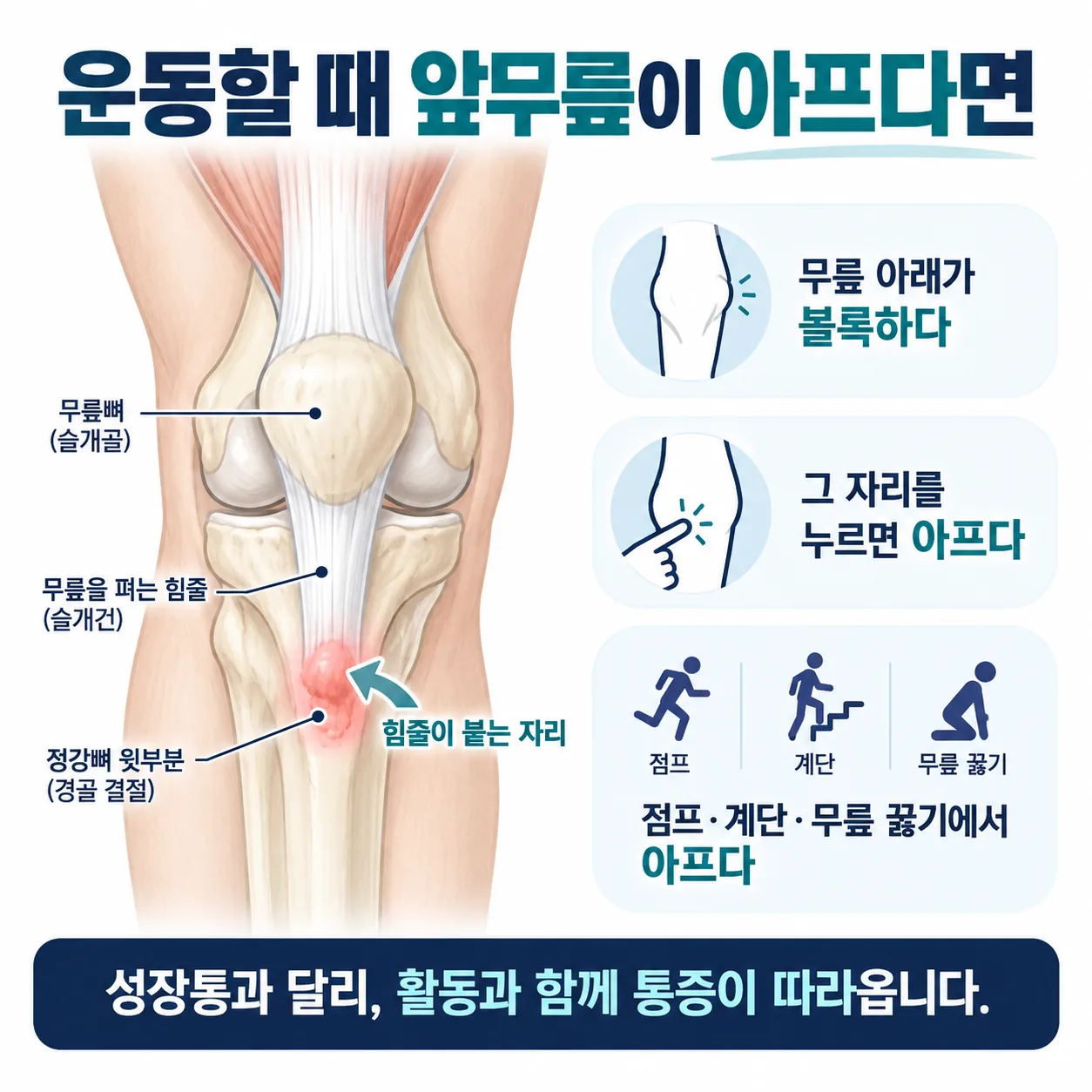 성장기 무릎 부하 조건과 체형·근육 균형 점검 항목 도식