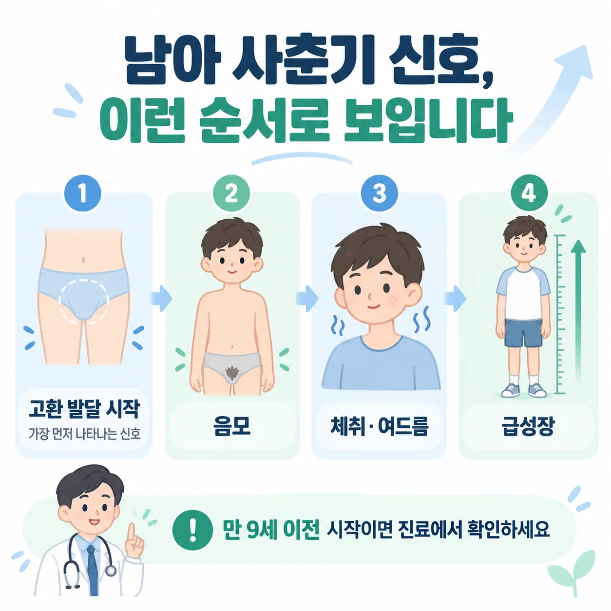 남아 사춘기 신호가 나타나는 순서 도식